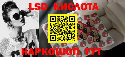 прущие грибы Краснознаменск