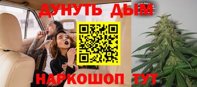 прущие грибы Краснознаменск