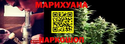 прущие грибы Краснознаменск