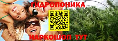 apvp Краснокаменск