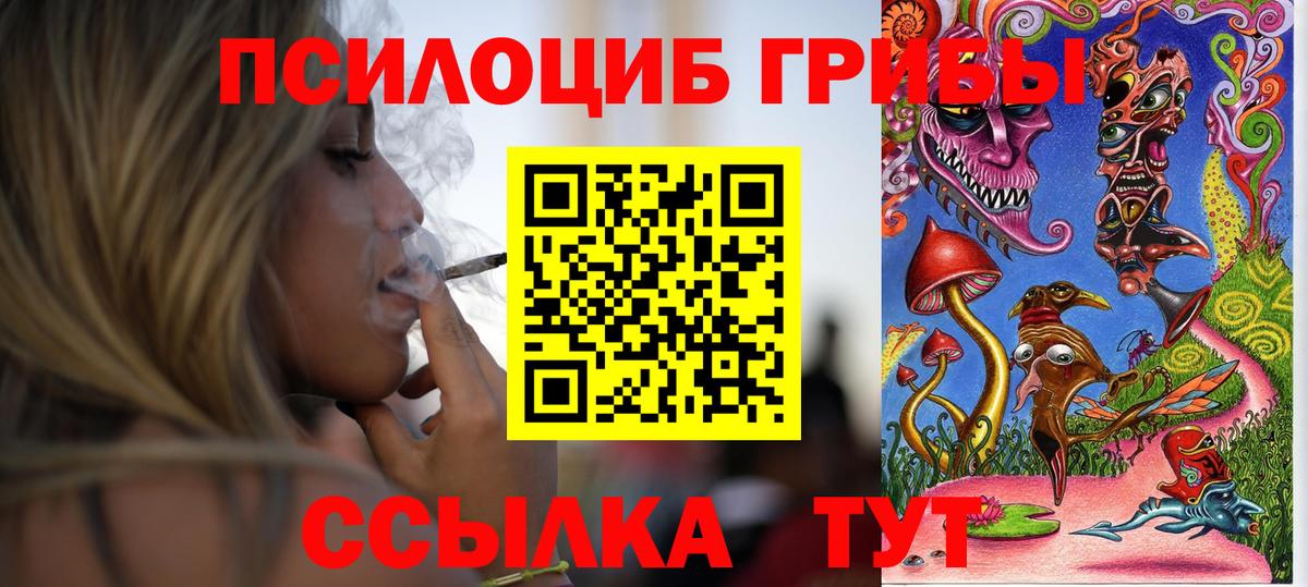 Псилоцибиновые грибы Psilocybine cubensis Зима